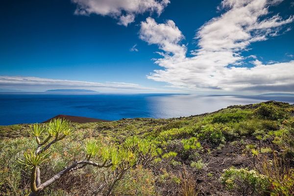 Canary Islands-La Palma Island-Fuencaliente de la Palma-Punta de Fuencaliente-volcanic landscape